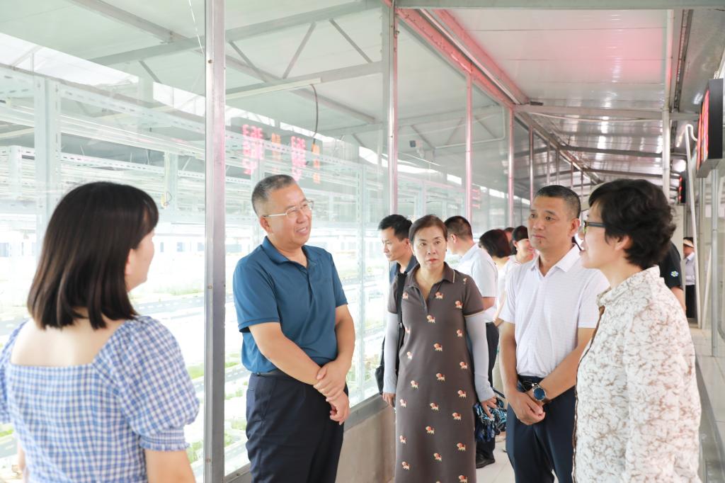 校长刘炜