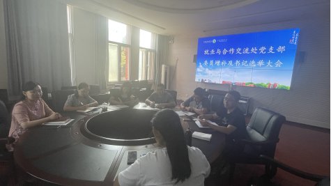 加强党的领导